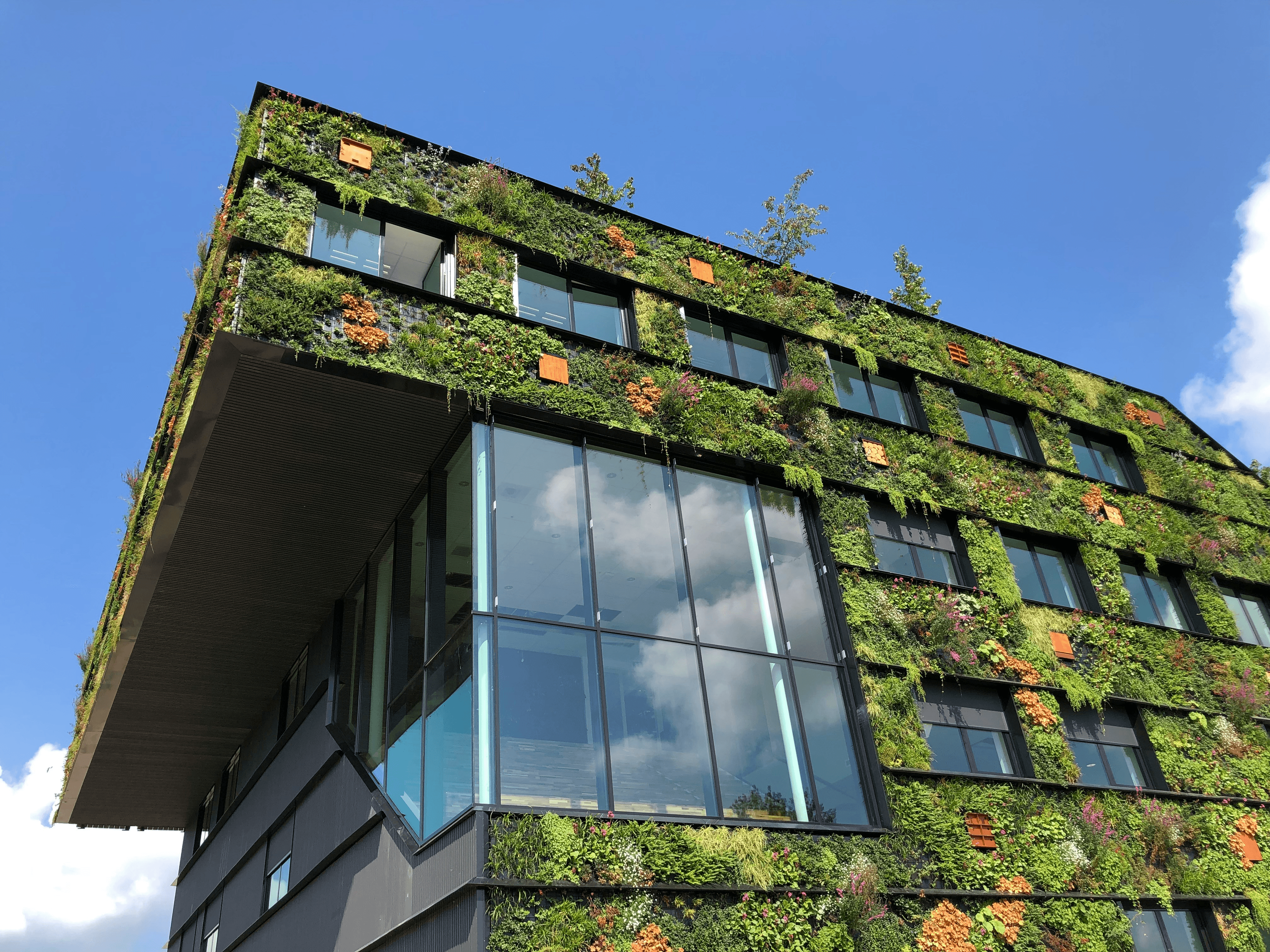Modern sustainable building at dusk
